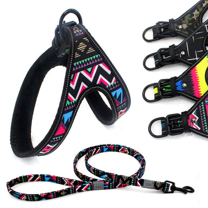 Set-bunte Hundeleine/Geschirr