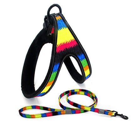 Set-bunte Hundeleine/Geschirr