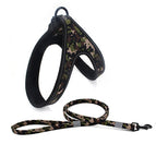 Camouflage / L