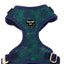 ADJUSTABLE HARNESS - AQUAMARINE-0