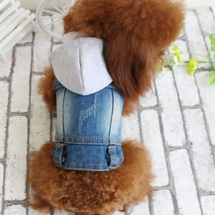 Denim-Frühlings Hunde -Jacke