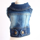 Blue / 2XL