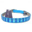 Luxor Kitten Cat Collars-3