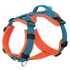 Orange Blue / L
