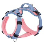 Pink Blue / L