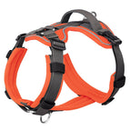 Orange / L