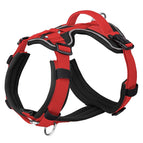 Black Red / L