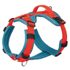 Blue Orange / L