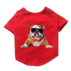 Red Bulldog / 2XL