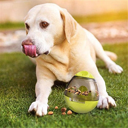 Der Hundefutter Leckerli Spender - Bud and Sunny