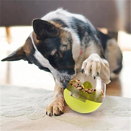 Der Hundefutter Leckerli Spender - Bud and Sunny