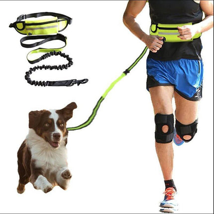Freihändige Hundeleine, Lauf - und Trainingsgürtel für Haustiere - Bud and Sunny