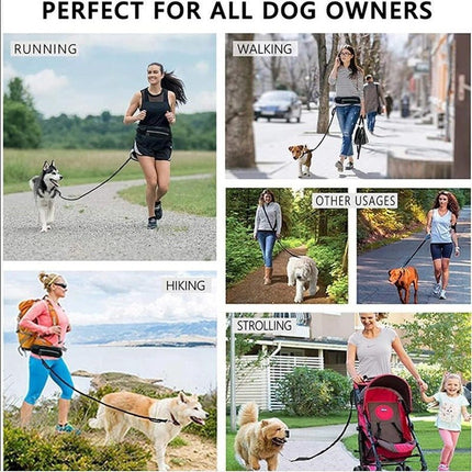Freihändige Hundeleine, Lauf - und Trainingsgürtel für Haustiere - Bud and Sunny