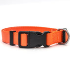 Orange / L