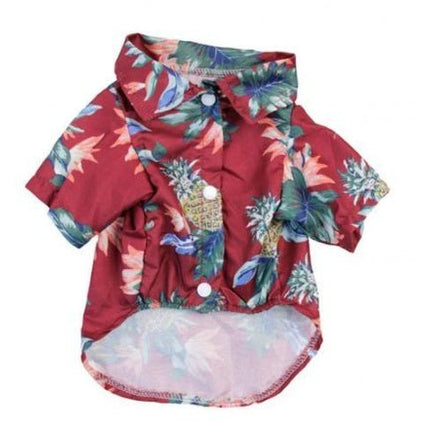 Hawaii - Style/Sommerfeeling - Bud and Sunny