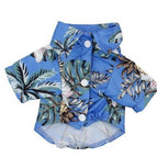 Blue / 2XL