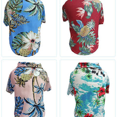 Hawaii - Style/Sommerfeeling - Bud and Sunny
