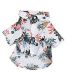 White / 2XL