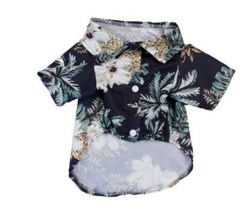 Hawaii - Style/Sommerfeeling - Bud and Sunny