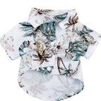 White coconut tree / 2XL