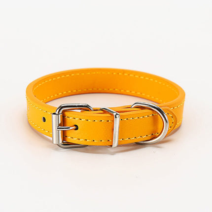 Hundehalsband - Bud and Sunny