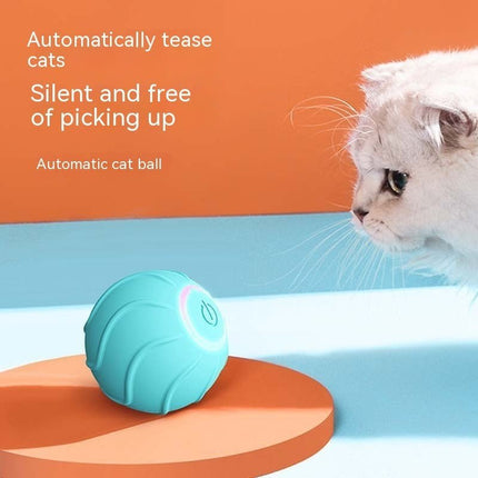 Intelligentes Katzenspielzeug - Bud and Sunny