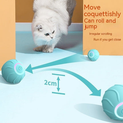 Intelligentes Katzenspielzeug - Bud and Sunny